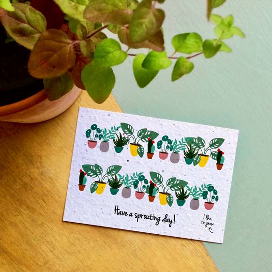 Have a sprouting day Have a sprouting day