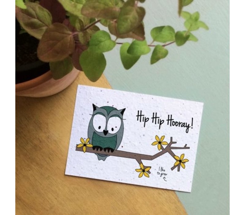 Hip Hip Hooray ! Hip Hip Hooray !